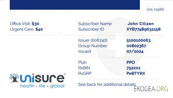 Carte d'assurance maladie du Mozambique